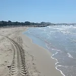 Horizon גולם